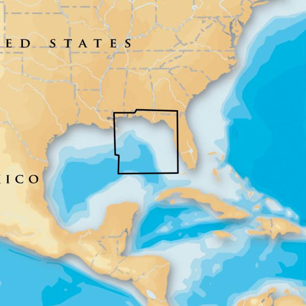 Navionics Platinum+ - East Gulf of Mexico - microSD™-SD™