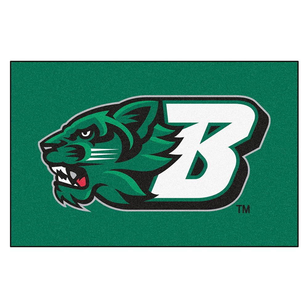 Binghamton Bearcats NCAA Starter Floor Mat (20x30)