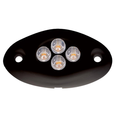 Innovative Lighting Courtesy Light - 4 LED Surface Mount - White LED-Black Case