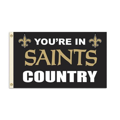 New Orleans Saints NFL You're in Saints Country 3'x5' Banner Flag