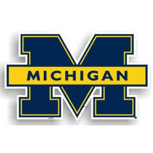 Michigan Wolverines NCAA 12 Car Magnet