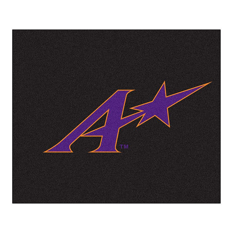 Evansville Purple Aces NCAA 5x6 Tailgater Mat (60x72)