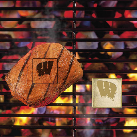 Wisconsin Badgers NCAA Fan Brands Grill Logo