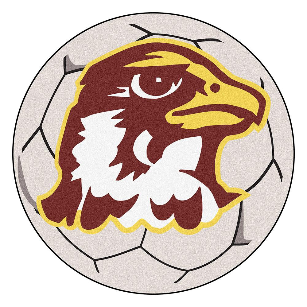 Quincy Hawks NCAA Soccer Ball Round Floor Mat (29)