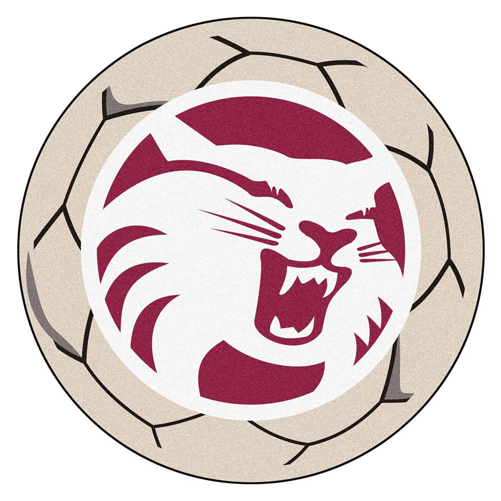 CS Chico Wildcats NCAA Soccer Ball Round Floor Mat (29)