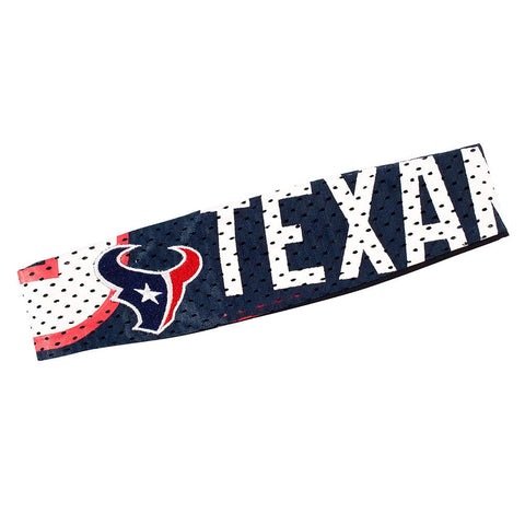 Houston Texans NFL FanBand