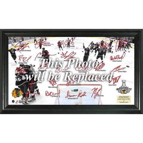 2013 Stanley Cup Champions Celebration Signature Rink