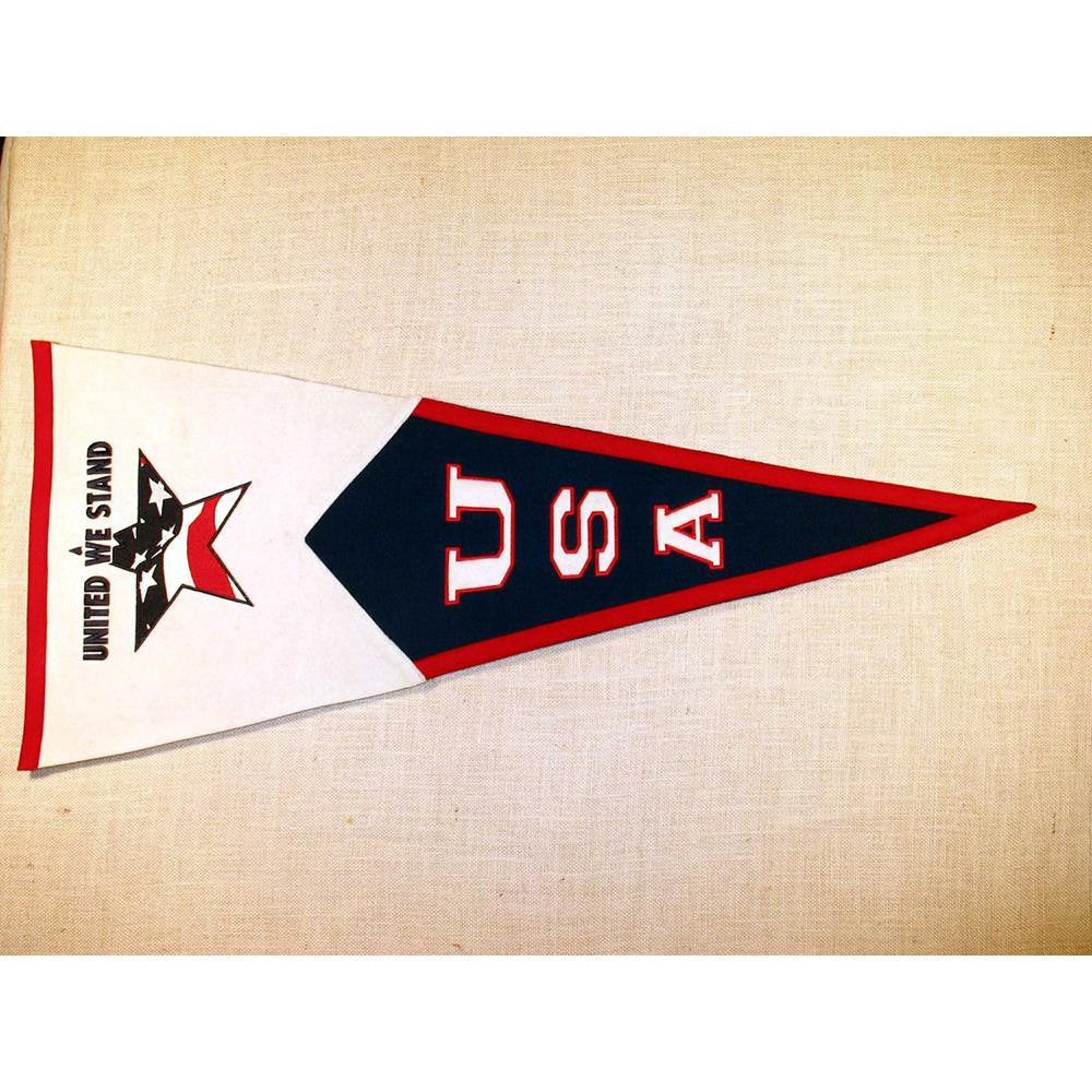 Classic American Pride-NR Military Classic Pennant (17.5x40.5)